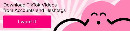 tik tok downloader